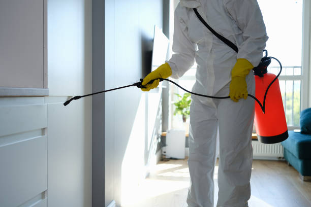Best Residential Mold Removal  in Governors Clu, NC