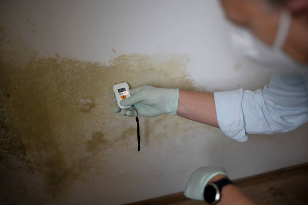 Best Attic Mold Removal  in Governors Clu, NC