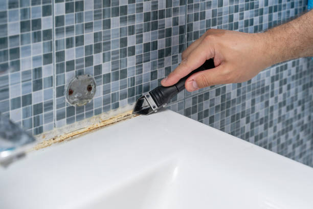 Best Mold Removal Specialists  in Governors Clu, NC
